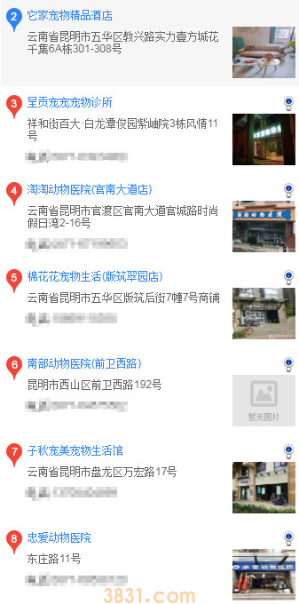 昆明怎么买博美(图2)