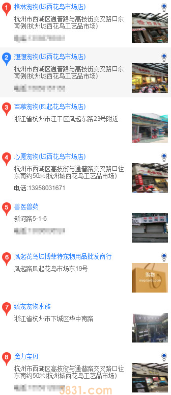 杭州怎么买博美(图1)