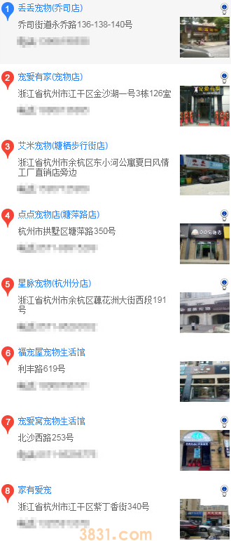 杭州怎么买博美(图2)