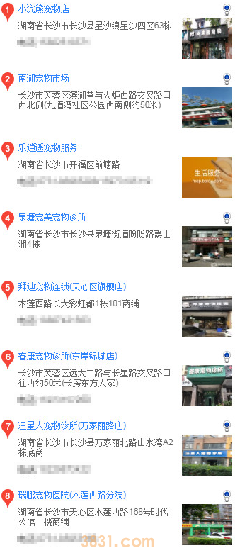 长沙怎么买博美(图2)