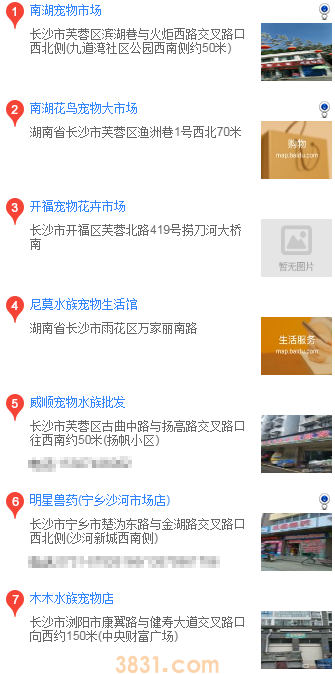 长沙怎么买博美(图1)