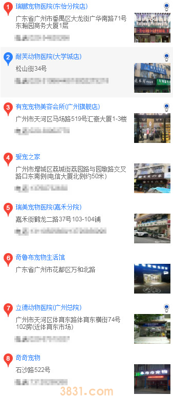 广州买博美(图1)