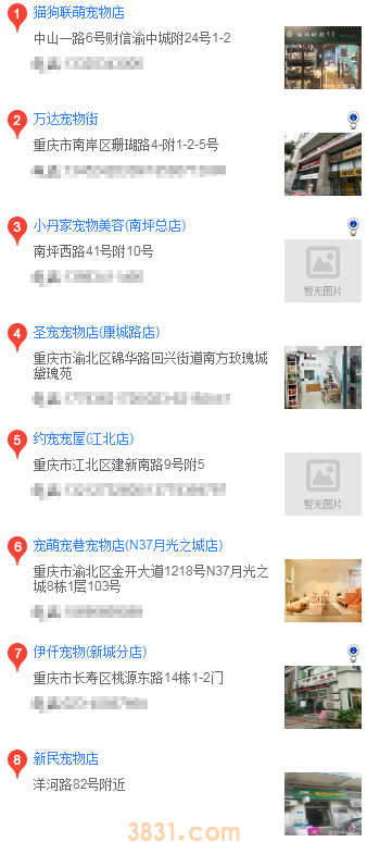 重庆买博美 重庆买博美可以去哪儿(图3)