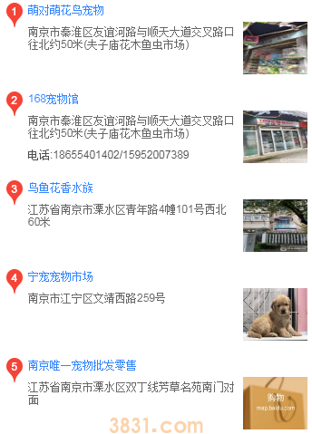 南京在哪买边境牧羊犬(图1)