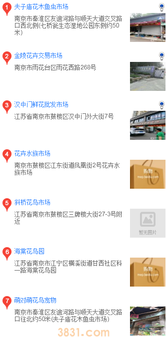 南京在哪买边境牧羊犬(图2)