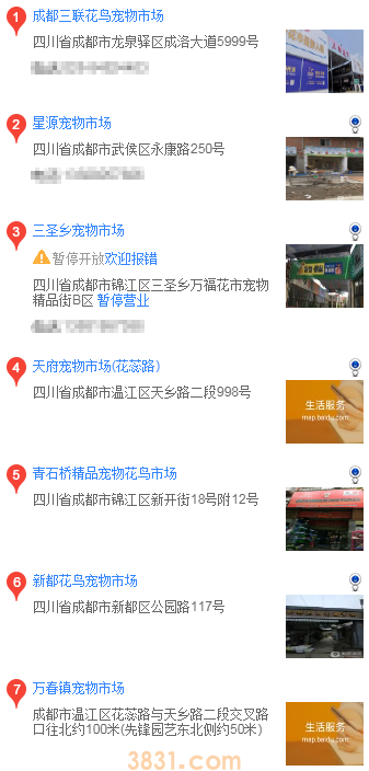 成都哪里买边境牧羊犬(图1)