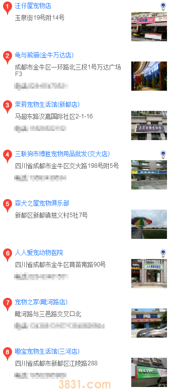 成都哪里买边境牧羊犬(图3)