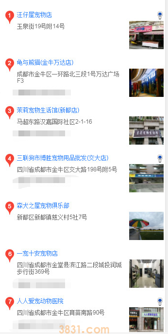 吉娃娃哪里买(图2)