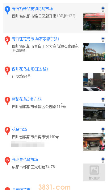 吉娃娃哪里买(图1)