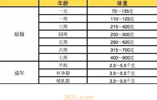 猫胖了怎么减肥 猫怎么减肥会成功么(图1)
