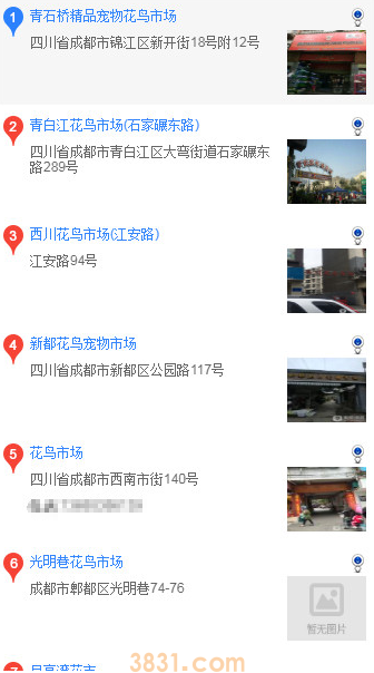 成都买哈士奇 成都买哈士奇的方法(图1)