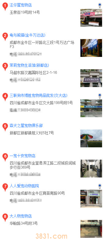 成都买哈士奇 成都买哈士奇的方法(图2)