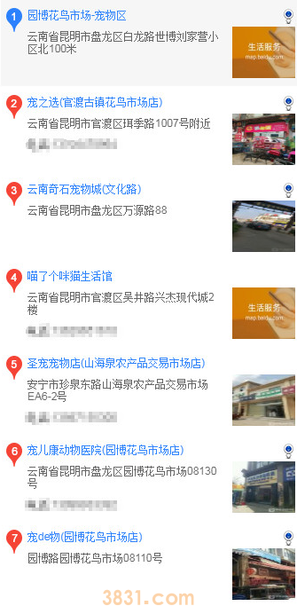 昆明买哈士奇(图1)