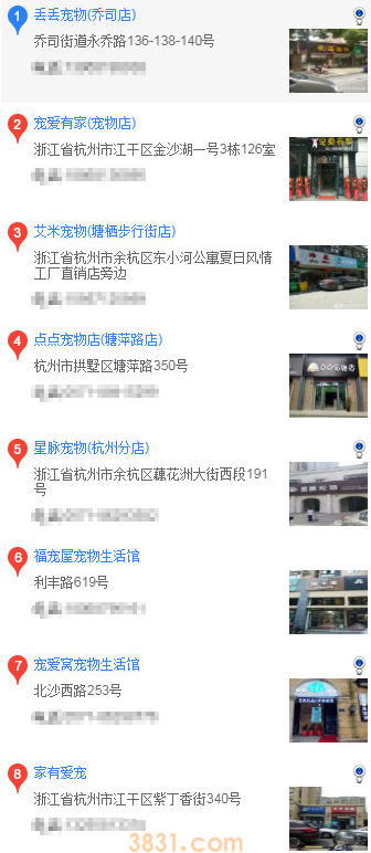 杭州买哈士奇(图2)