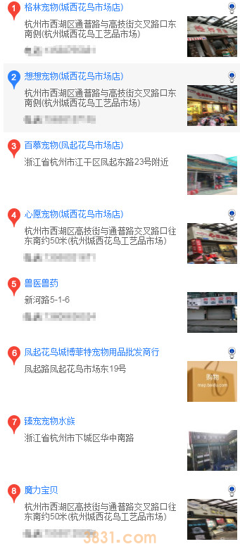 杭州买哈士奇(图1)