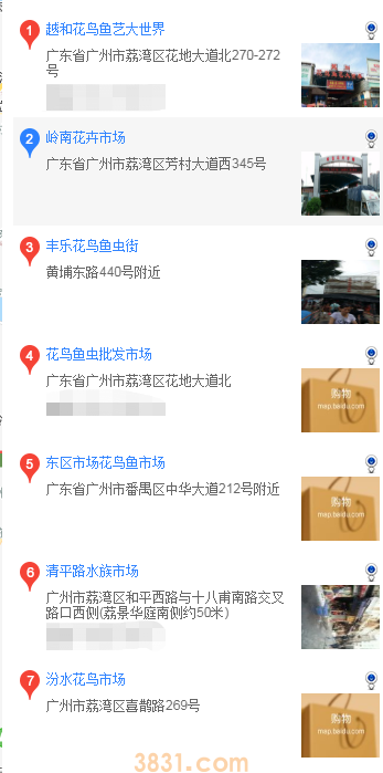 广州哪家狗场买吉娃娃(图1)