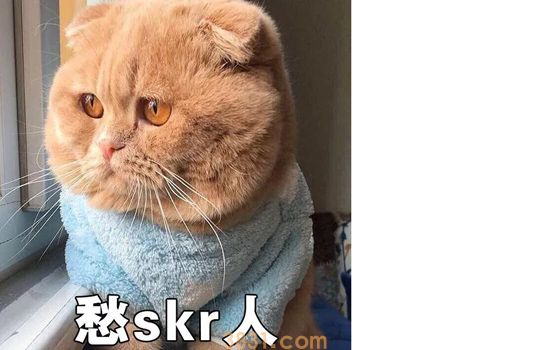 猫血常规指标解读 一分钟看懂血常规(图1)
