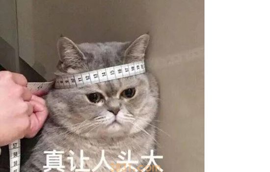 猫血常规指标解读 一分钟看懂血常规(图2)