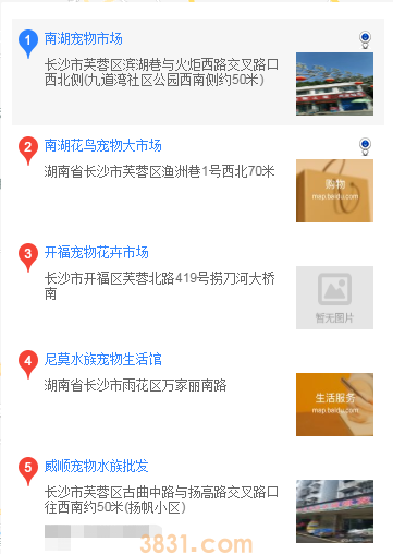 长沙买巴哥犬(图1)