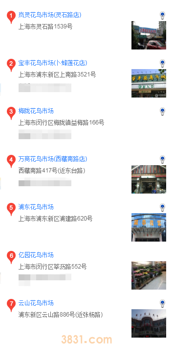 上海买巴哥犬的地方(图1)