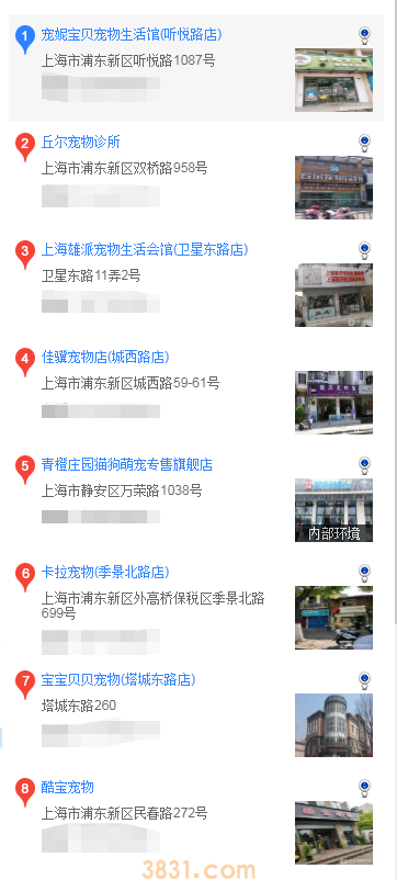 上海买巴哥犬的地方(图2)
