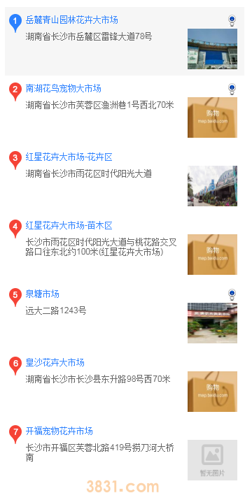 巴哥犬哪里买(图1)