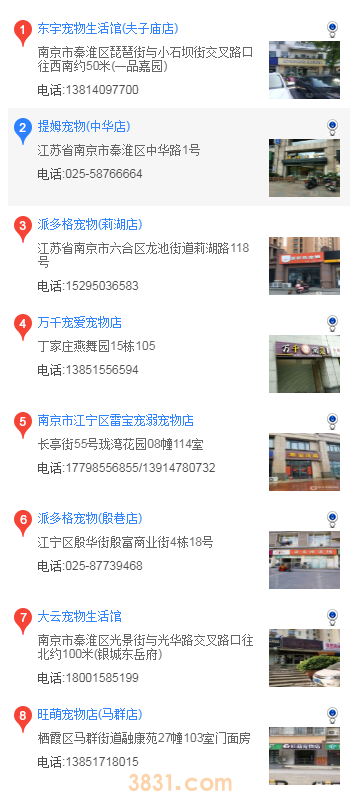 南京哪里可以买可卡犬(图2)