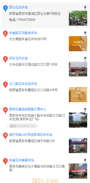 西安买柴犬(图1)