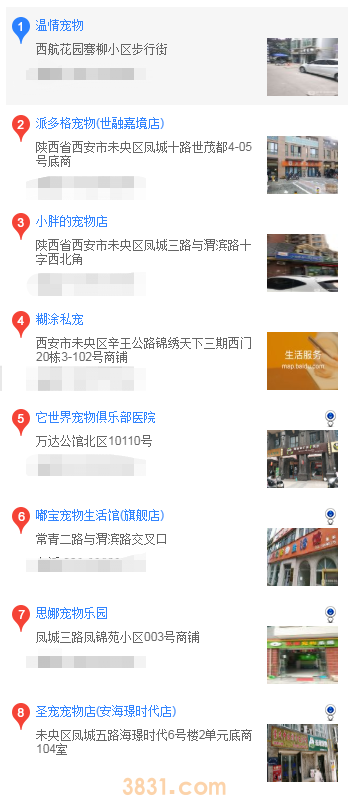 西安买柴犬(图2)