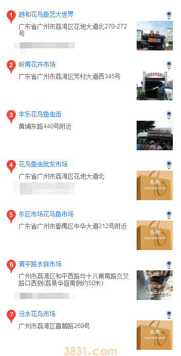广州哪里买柴犬(图1)