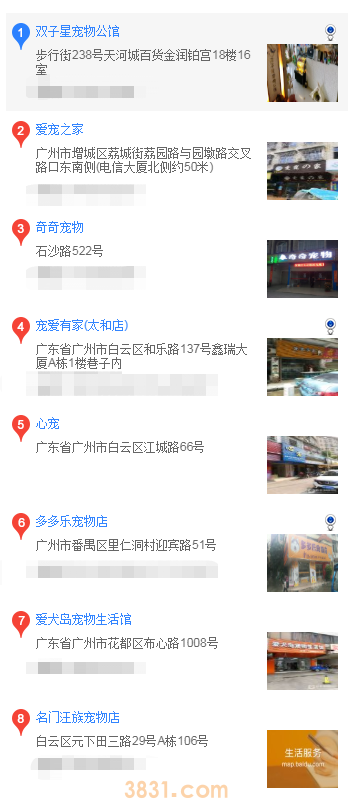广州哪里买柴犬(图2)