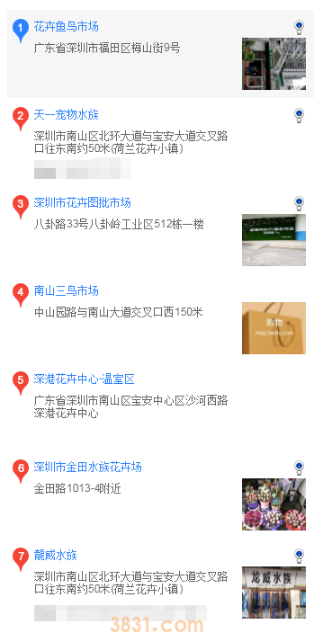 深圳在哪里买柴犬(图1)