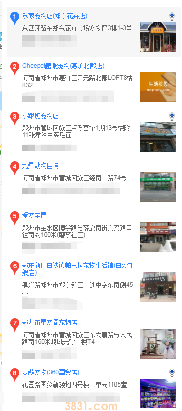 郑州买巴哥犬(图1)