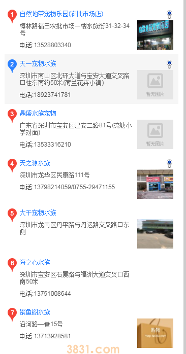 深圳买巴哥犬(图2)