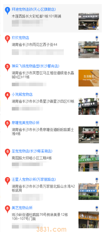 在长沙什么地方买泰迪(图2)