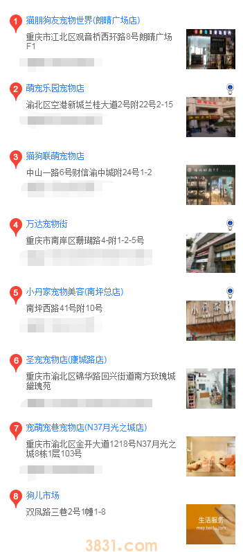 重庆哪里买金毛(图2)