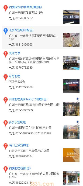 深圳哪里买金毛(图2)