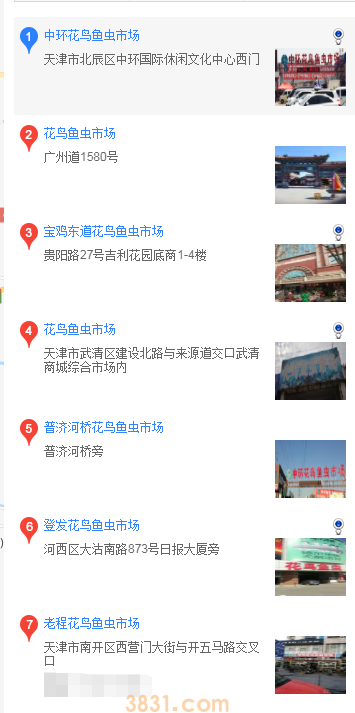 天津买萨摩耶(图1)