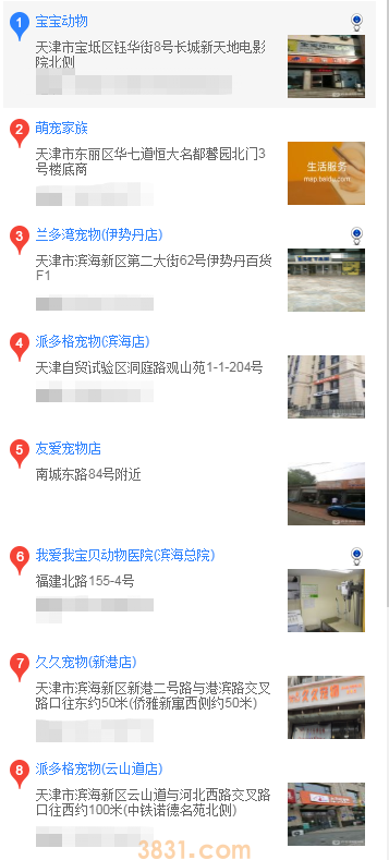 天津买萨摩耶(图2)