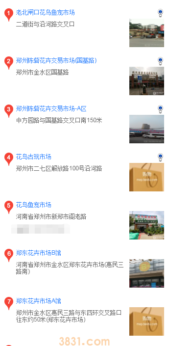 郑州在什么地方买泰迪(图1)