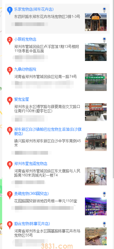 郑州在什么地方买泰迪(图2)