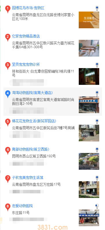昆明买泰迪 昆明购买泰迪什么地方(图2)