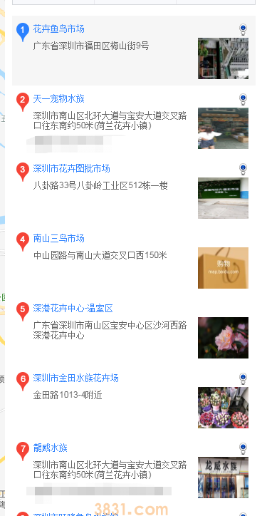 深圳哪里买萨摩耶(图1)