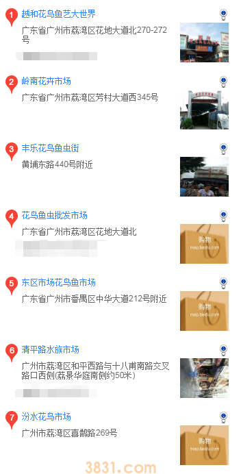 广州买萨摩耶 广州哪里买萨摩耶(图1)