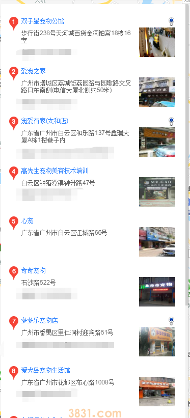 广州买萨摩耶 广州哪里买萨摩耶(图2)