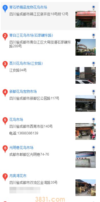 成都哪里买马尔济斯(图1)