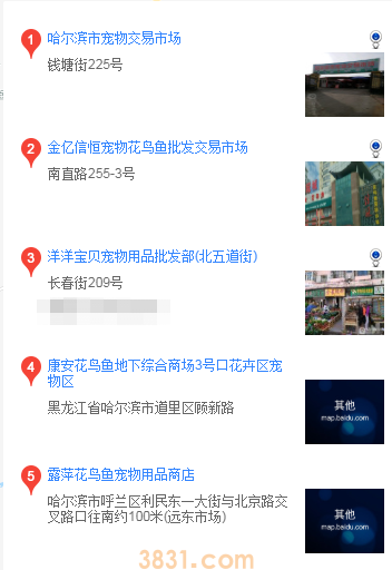 哈尔滨买马尔济斯犬(图1)