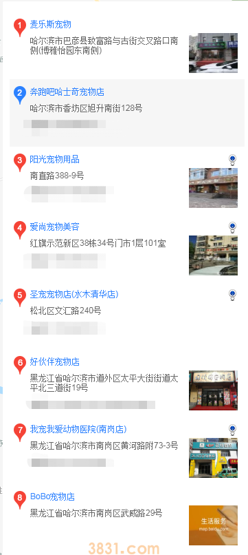 哈尔滨买马尔济斯犬(图2)