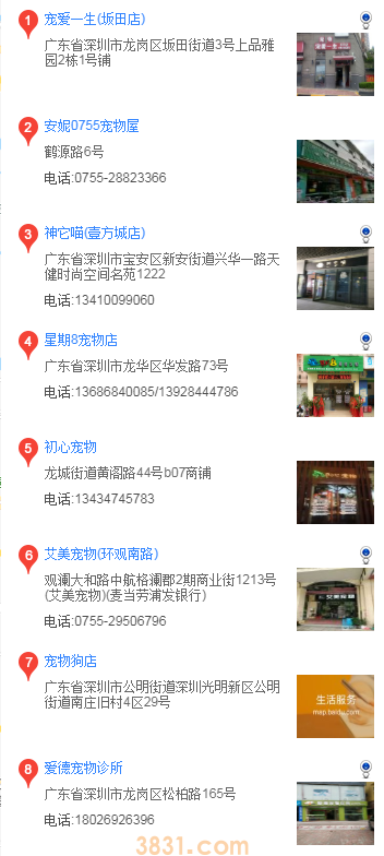 深圳哪里买马尔济斯(图2)