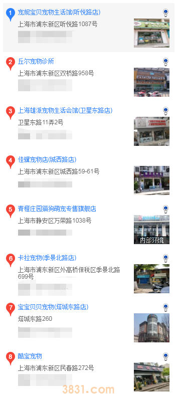 上海什么地方买松狮(图2)